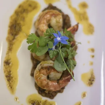 Wilhelmshoehe אאודראת