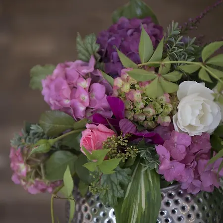 Wilhelmshoehe בית הארחה אאודראת