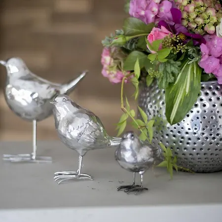 בית הארחה Wilhelmshoehe