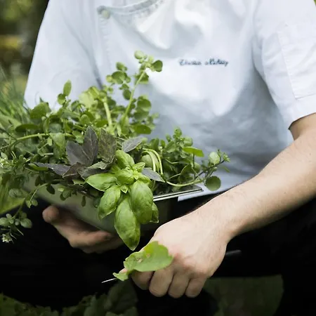 Wilhelmshoehe בית הארחה