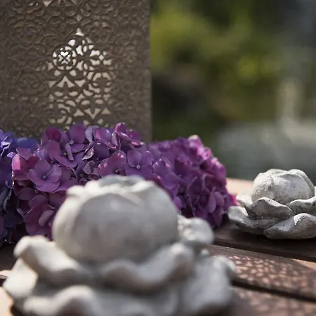 בית הארחה Wilhelmshoehe 3*