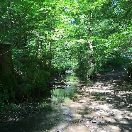 Wilhelmshöhe Gasthof Auderath