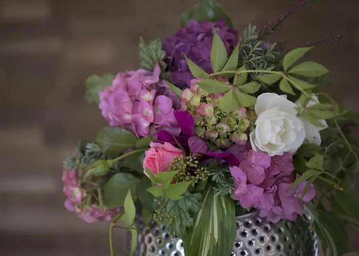 Wilhelmshoehe Pensionat Auderath