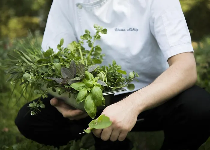 Wilhelmshoehe Pensionat