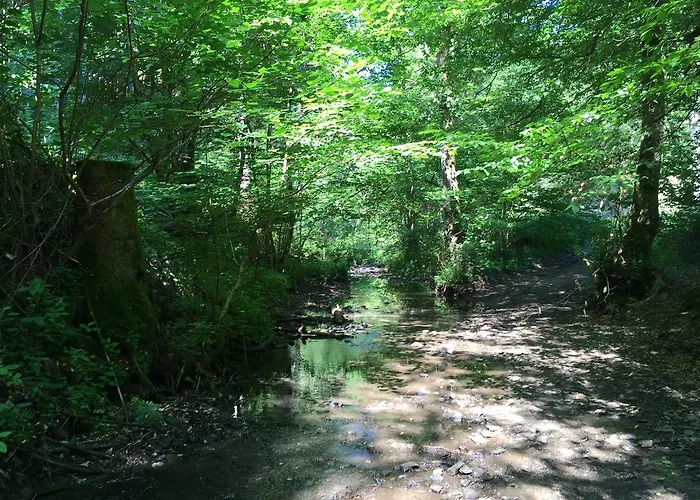 Wilhelmshoehe Pensionat Auderath